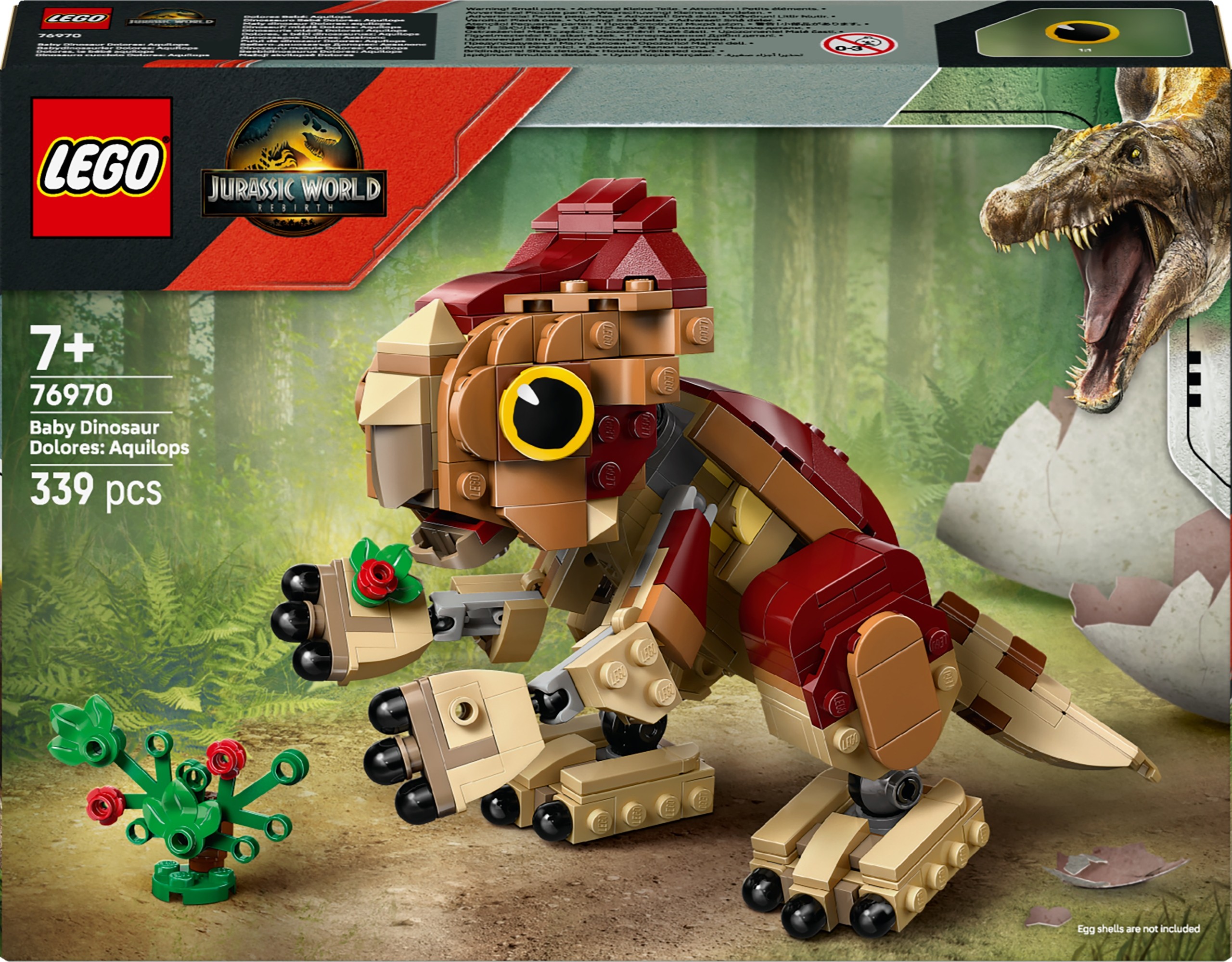 Doloresin malý dinosaurus: aquilops