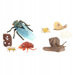 Cicada a Rast Slimák Sada pre zábavu v cykle
