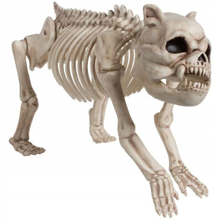 Dekorácie Skeleton psie halloween kosti strašidelný