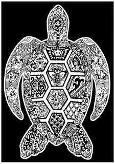 Big Velvet maľovanky Farba Velvet Turtle