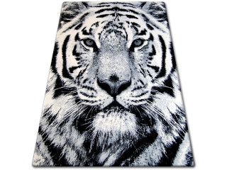 Koberec do detskej izby - Koberec Flash 120x170 Tiger Grey Black Cream # B032