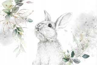 Tapeta do detskej izby - Dievčatá tapety s Bunny Zając 200x150