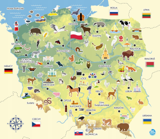 Detské samolepky na stenu - Vzdelávacie mapa Poľska! Montessori! Pekná!