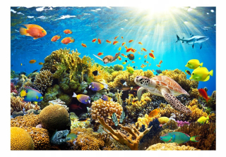 Tapeta do detskej izby - 3D nástenná maľba pre deti AQUARIUM 350x245