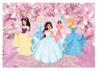 Tapeta do detskej izby - Nástenný výjav Princess deti plagát 152x104