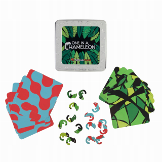Magnetická logická hra FatBrainToys Chameleons