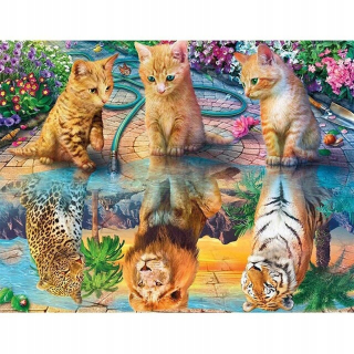 Diamantová výšivka Mosaic Picture CATS REFLECTION 30x40cm