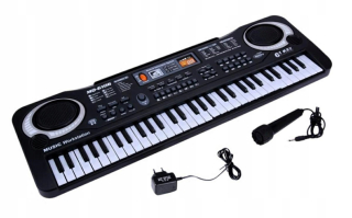 Klávesnicu prepínanie Electric Organ Mikrofón Napájanie