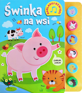 KNIHA AUDIO KNIHA PRASIATKO NA KRAJINE