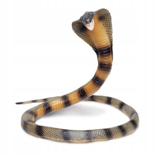 Kobra - Cobra - Safari Ltd. - 260.329