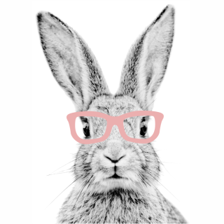 Detské samolepky na stenu - RABBIT S POHÁRMI CZ-B NÁSTENNÁ NÁLEPKA VEĽKOSTI XL