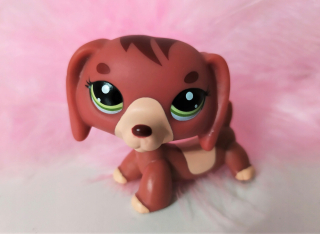 Zberateľská figúrka - LPS Jazvečík Jazvečík Figúrka Littlest Pet Shop Unique