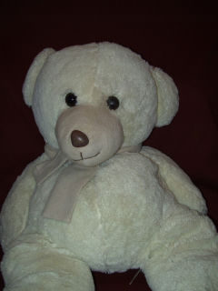 MASKOT - MEDVEĎ - FOFCIO 70 cm