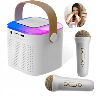 Karaoke bezdrôtový reproduktor mikrofónu Bluetooth s 2 mikrofónmi