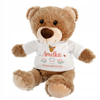 Teddy Bear s metrickým darom pre krstné meno narodenia