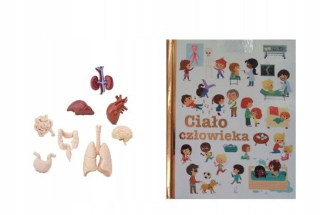 Montessori figuruje orgány orgánov + encyklopédii