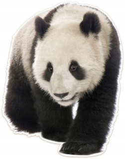 Detské samolepky na stenu - Mäkká plyšová nálepka na stenu Panda vysoká 105cm