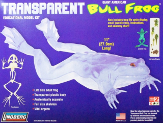 Plastový model Lindberg - Transparent Bull Frog