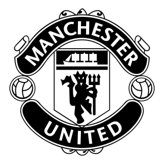Detské samolepky na stenu - Manchester United Wall Sticker Pogba 100 cm