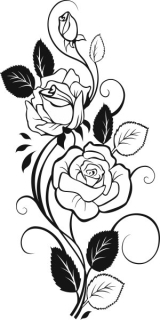 Detské samolepky na stenu - Wall Wall Sticker Kvety Roses 140 cm