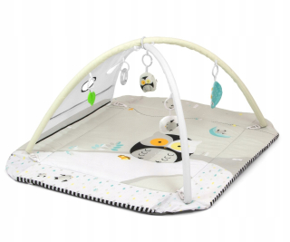 Vzdelávacia podložka pre deti - ND18_3245 Vzdelávacie Mat 5W1 Lolly Owl