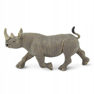 Black Rhinoceros - Black Rhino Safari Ltd. 228829