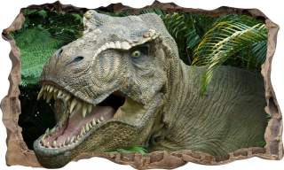 Detské samolepky na stenu - 3D nálepka na stenu Dinosaury Dinosaur Trex Dino