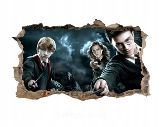 Detské samolepky na stenu - Wall Sticker Harry Potter diera vzory