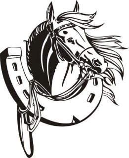 Detské samolepky na stenu - Wall Sticker Kôň Horses Horses Horseshoe