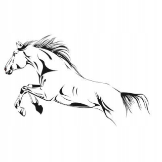 Detské samolepky na stenu - Wall Sticker Trailer Horses Horse 1