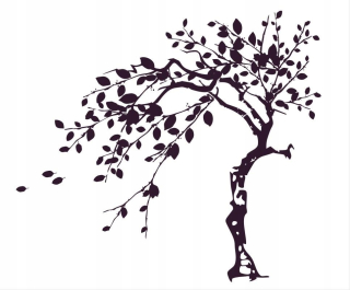 Detské samolepky na stenu - Samolepky na stenu stromu Tree 180x180cm AIM