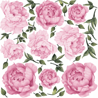Detské samolepky na stenu - Nástenné nálepky Peóny Kvety 100 cm Pink