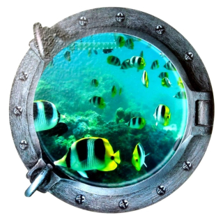 Detské samolepky na stenu - Nástenné nálepky Windows Aquarium Fish