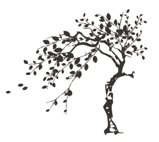 Detské samolepky na stenu - Samolepky na stenu TREES strom 170x170 cm zamer