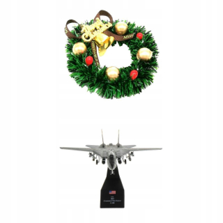 F-14 F-14 stíhacie lietadlo v mierke 1/100