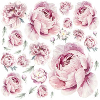 Detské samolepky na stenu - PEONIES kvety PEONIES Samolepky na stenu 100x100