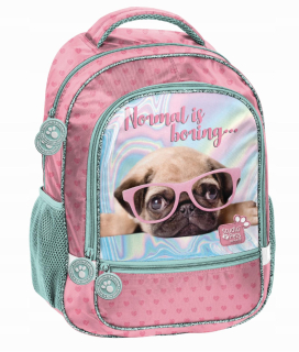 Školský batoh - Paso School Backpack Dog Mops mops: PTM-260
