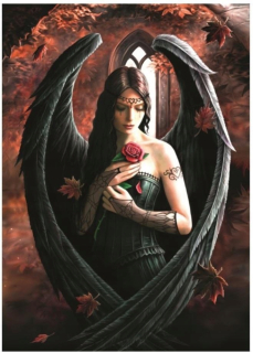 Puzzle 1000 Anne Stokes - Rose, Bluebird Puzzle