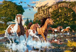 HÁDANKA 1000 HORY ZVIERATÁ KONE MUSTANG CASTOR