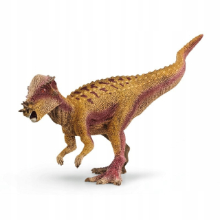 Pachicefalosaurus SLH15024