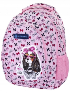 Školský batoh - Batoh Astra School - Sweet Dog s luky (502021