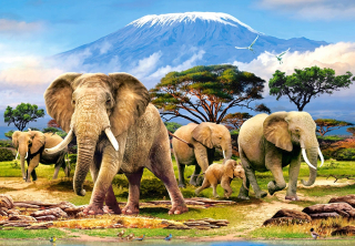 Puzzle 1000 el. C-103188-2 Kilimanjaro Morning