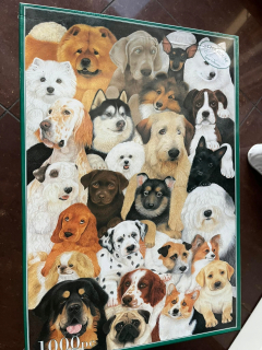 Puzzle Otter Housee Dogs Life Avril Haynes koláče 1000