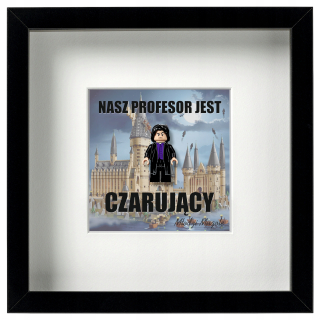 Rám - s figúrka Harry Potter - pre učiteľov
