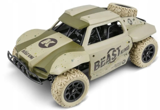 Auto na diaľkové ovládanie - RC Rally Racer 18,522 Auto Diaľkové ovládanie Budha