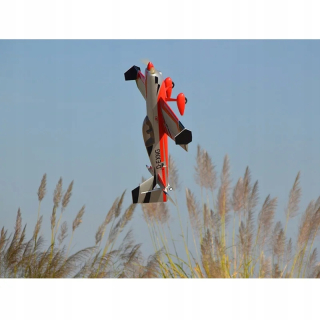 Rádio Control Sport 3D navyše 300 ng nová farba RC aerrobatic Plane Model