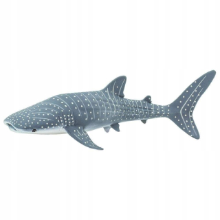 Whale shark - žralok Safari Ltd. 422129