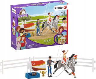 SCHLEIC 42443 MII Wolter Set