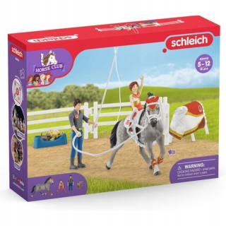Schleich Horse Klub Mii Vaulting Set 42443