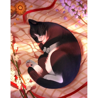 Sdyuno 60x75 cm digitálna maľba pre dospelých Cat Mal